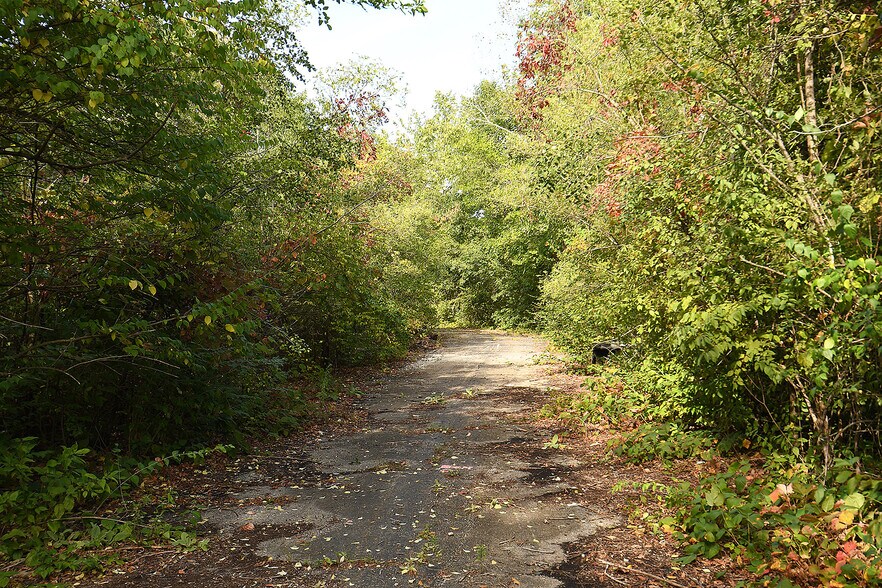 More Photos Of Brads Way, Homer Glen Land For Sale