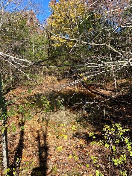 More Photos Of Creel Road @ Hwy 392, Harrison Land For Sale