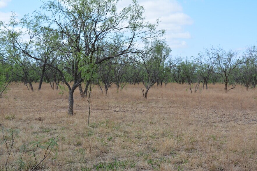 More Photos Of CR 1329, Paint Rock Land For Sale