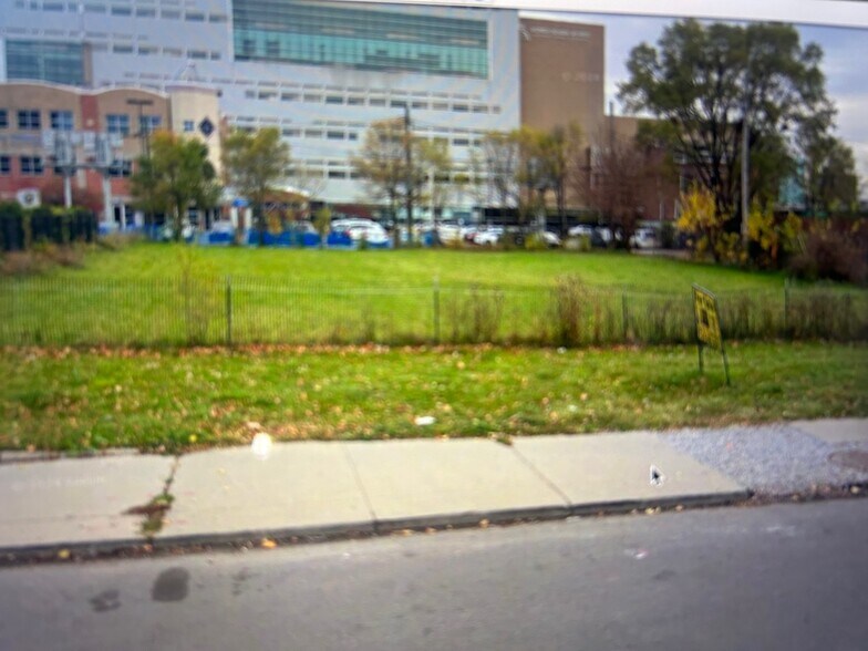 Primary Photo Of 109-111 W Alexandrine St, Detroit Land For Sale