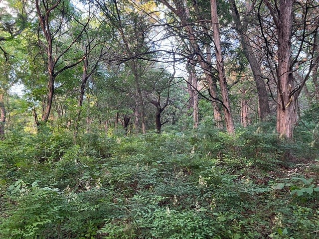 More Photos Of 1878 W Belt Line Rd, Cedar Hill Land For Sale