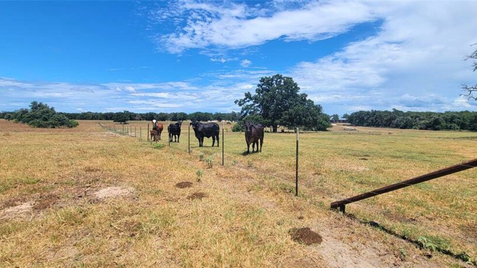 More Photos Of TBD N 000 Hwy 77, Rockdale, Texas 76567, Rockdale Land For Sale