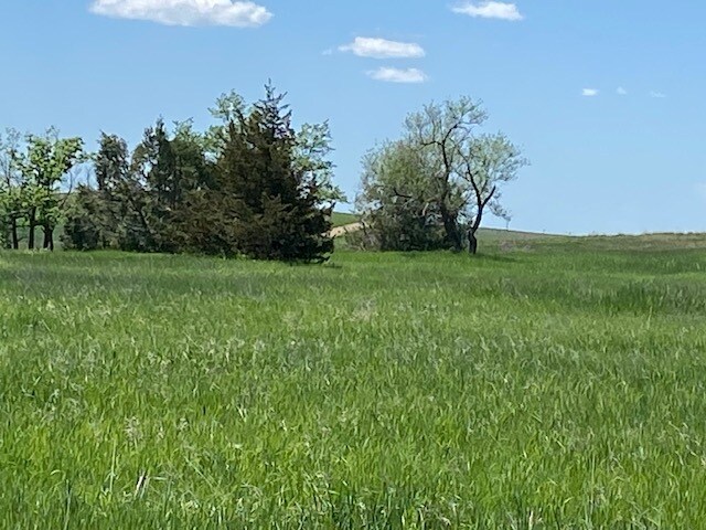 More Photos Of 29392 239th St, Vivian Land For Sale