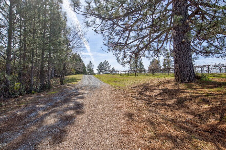 More Photos Of 4771 Greenhills Rd, Placerville Winery Vineyard For Sale