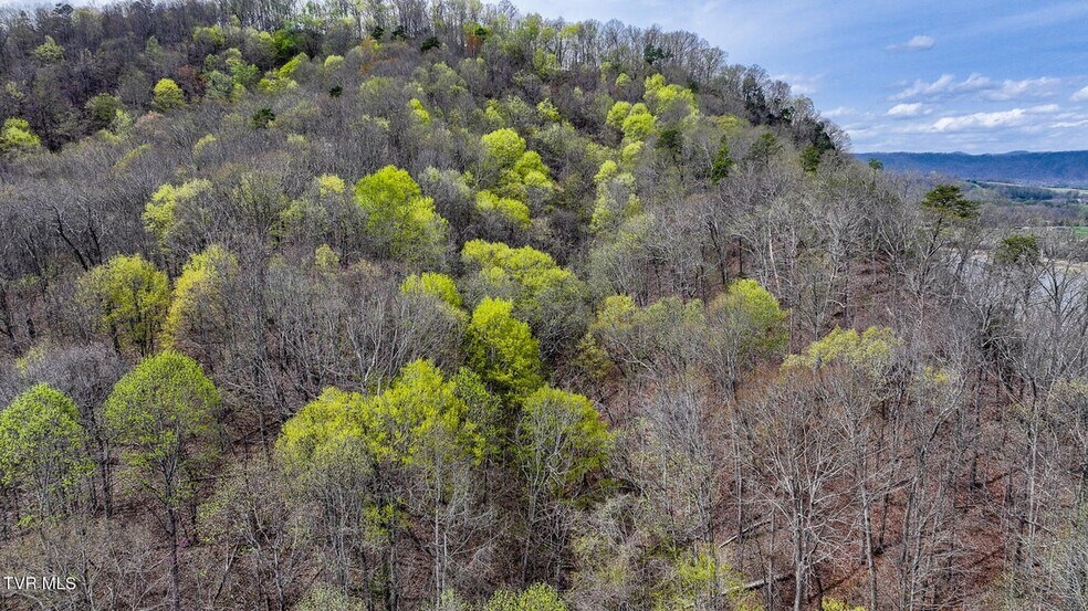 More Photos Of 340 Melinda Ferry rd, Rogersville Land For Sale