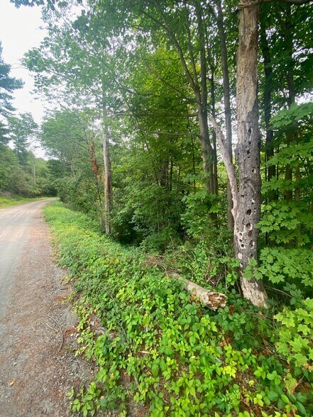 Primary Photo Of New Hampshire Route 12, Westmoreland Land For Sale