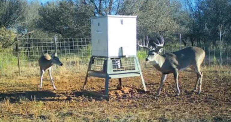 More Photos Of 1510 US Highway 83, Childress Land For Sale