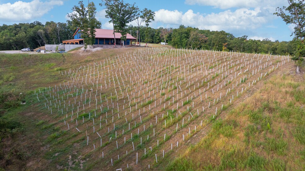 More Photos Of 100 Grand Vintners Lane, Lake Ozark Winery Vineyard For Sale
