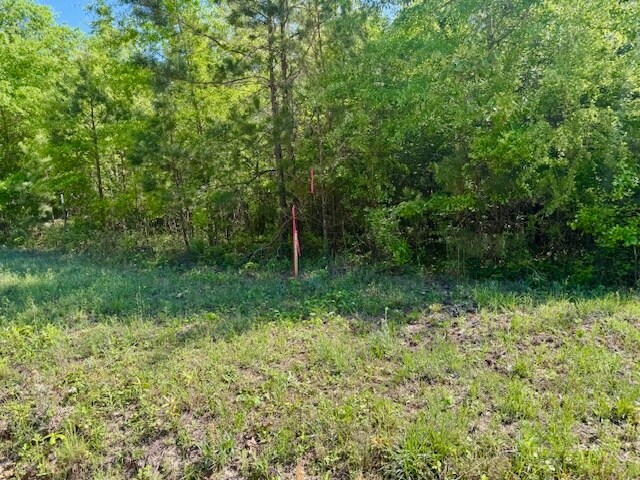 More Photos Of 000 Tanglewood Trail, Georgetown Land For Sale