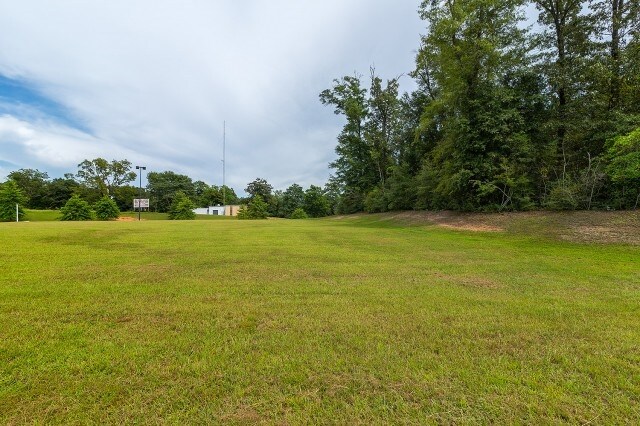 More Photos Of 1991 Martin Luther King, Jr Expy, Andalusia Land For Sale