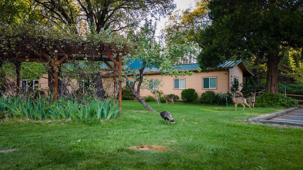 More Photos Of 459 Galice Rd, Merlin Religious Facility For Sale