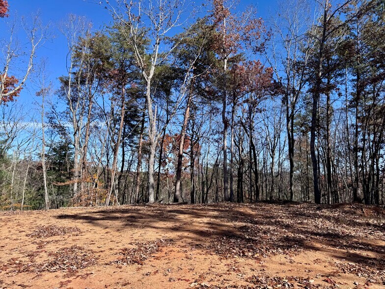 More Photos Of 536 Vayhaus Trl, Ellijay Specialty For Sale