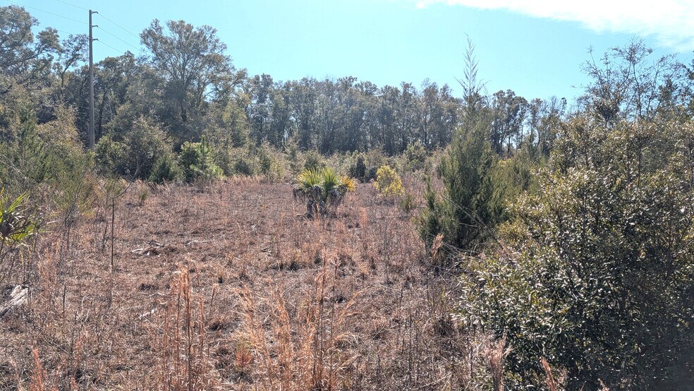 More Photos Of 13550 NW Old Fannin Rd, Chiefland Land For Sale