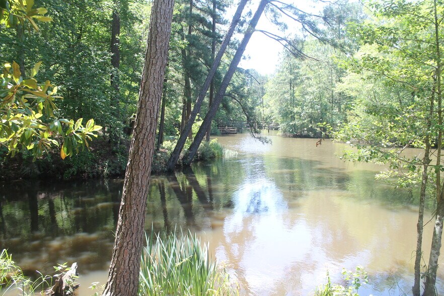 More Photos Of 248 WOODSY Holw, Goodrich Land For Sale