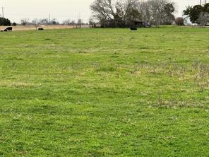 More Photos Of 1408 State Park Rd, Lockhart Land For Sale