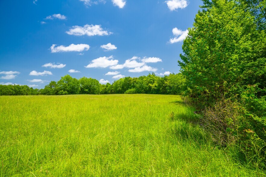 More Photos Of County Road 3311, Omaha Land For Sale