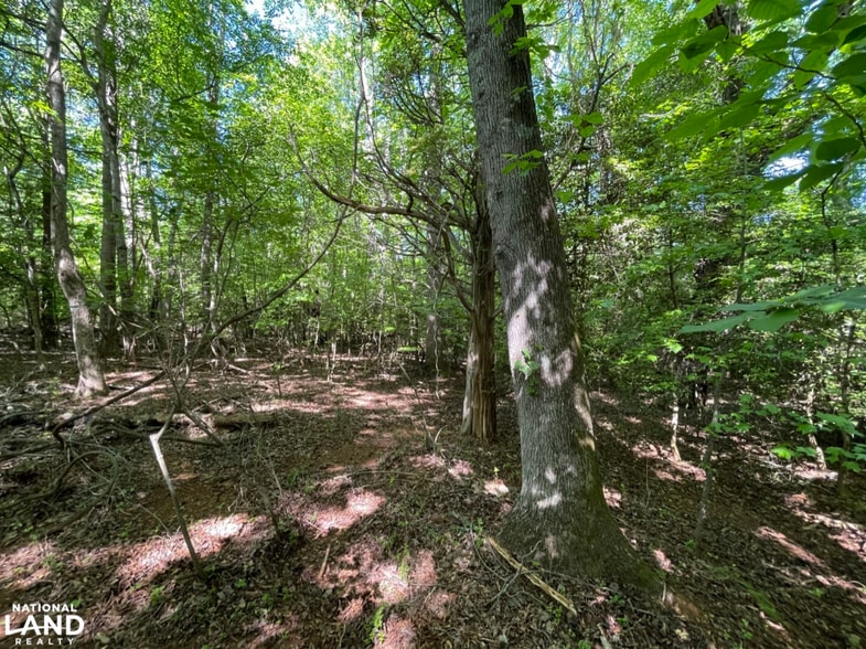 More Photos Of 0 Gibbs Road, Wellford Land For Sale