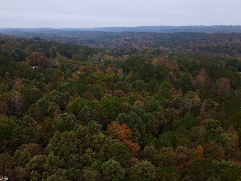 More Photos Of EO Road, Odenville Land For Sale