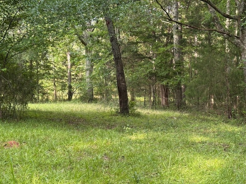 More Photos Of 4091 Hollonville Rd, Williamson Land For Sale