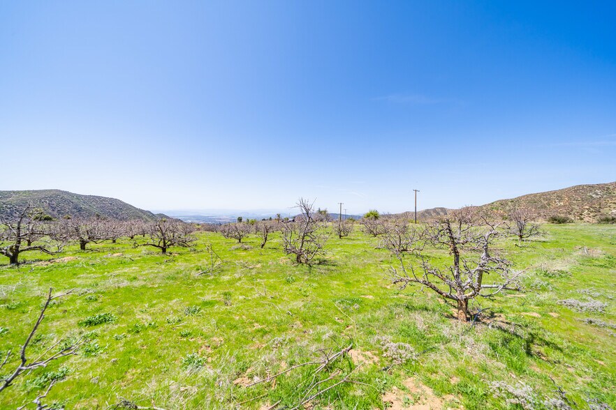 More Photos Of , Cherry Valley Land For Sale