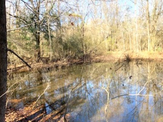 More Photos Of 0 Oak Street, Selma Land For Sale