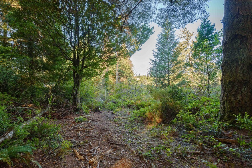 More Photos Of 0 Newmark ave, North Bend Land For Sale