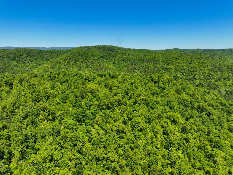 More Photos Of 0 Crestwood Road, Speedwell Land For Sale