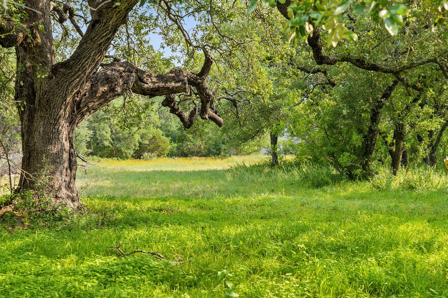 More Photos Of 534 County Road 407, Spicewood Land For Sale