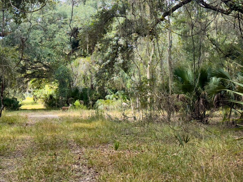 More Photos Of W C 48, Bushnell Land For Sale