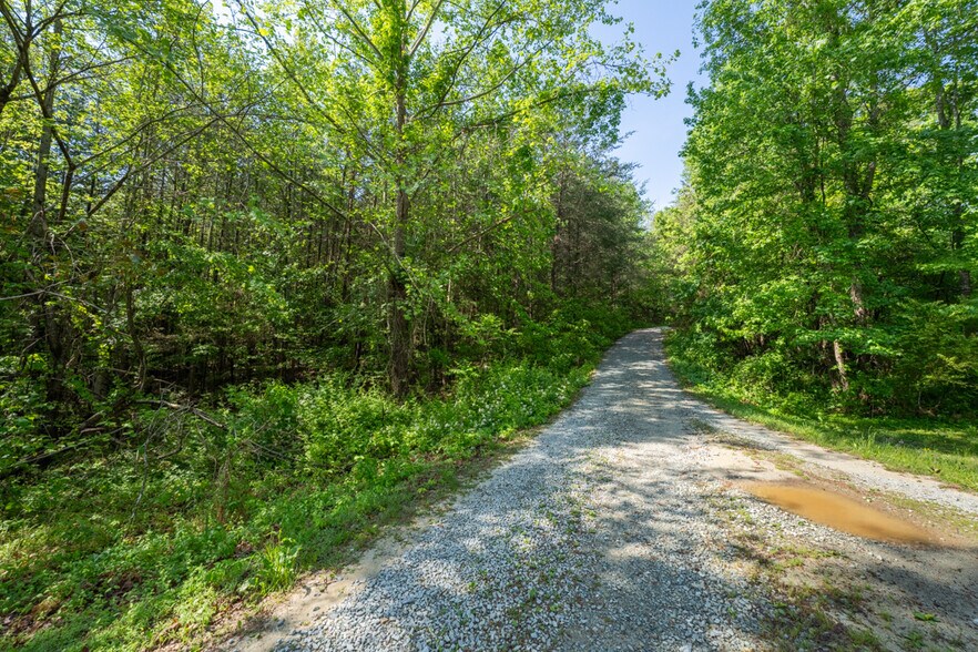 More Photos Of 479 Mudlee Dr, Hurdle Mills Land For Sale