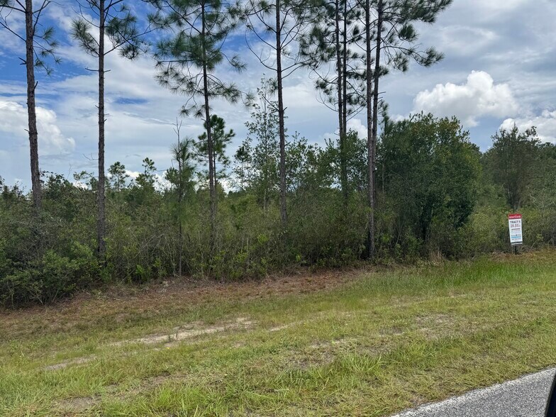 More Photos Of Noah Raulerson Road, Sanderson Land For Sale