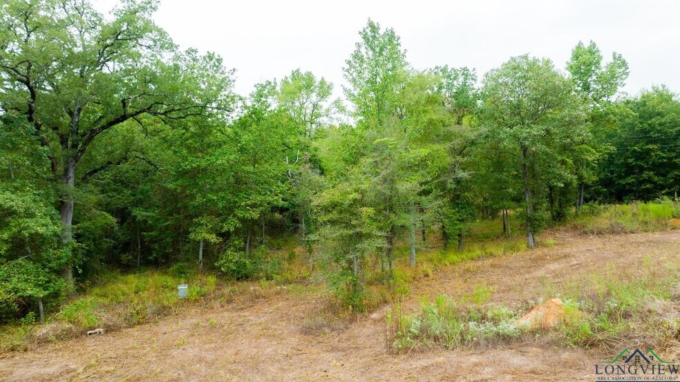 More Photos Of TBD US 259, Longview Land For Sale