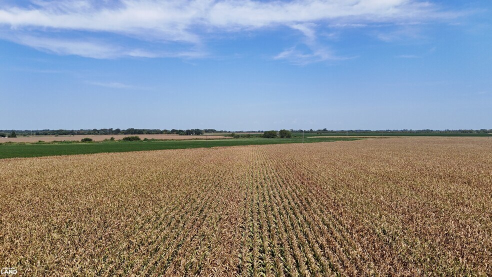 More Photos Of 1120 Highway 165 N, Stuttgart Land For Sale