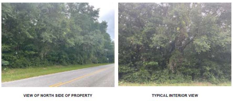 More Photos Of SE CR 255, Lee Land For Sale