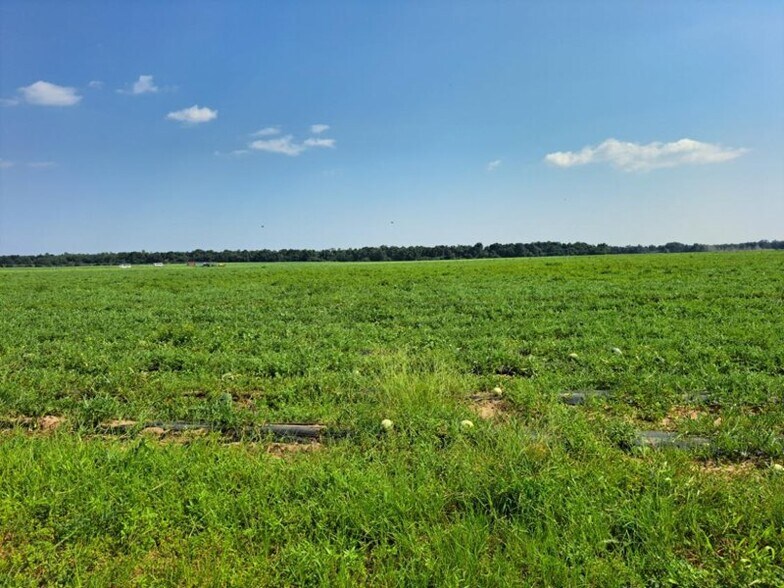 More Photos Of 0 Jesse Allen, Milton Land For Sale
