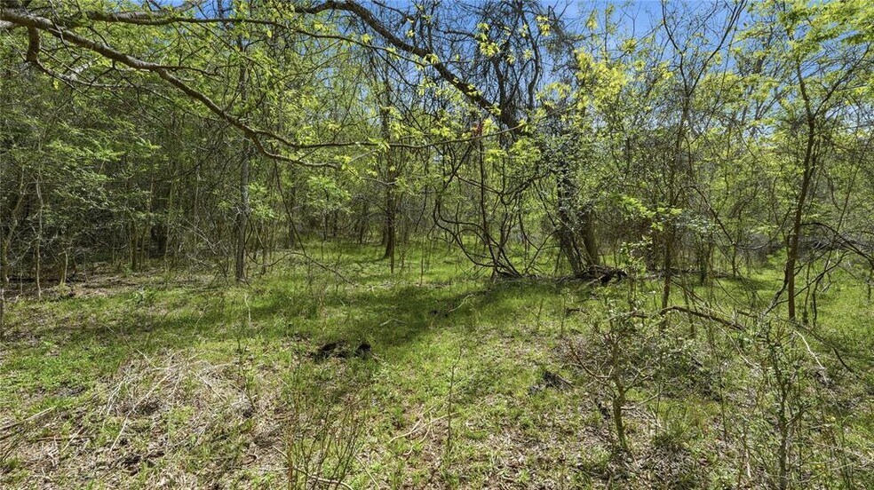 More Photos Of TBD Reids Bend rd, Bastrop Land For Sale