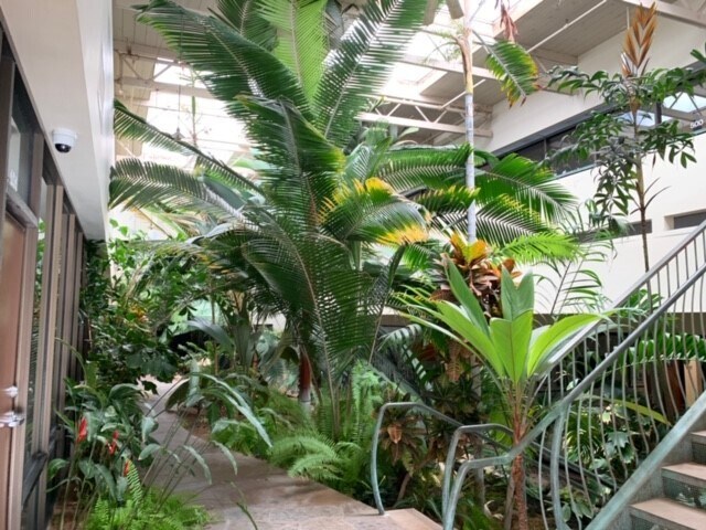 More Photos Of 500 Fesler St, El Cajon Unknown For Lease