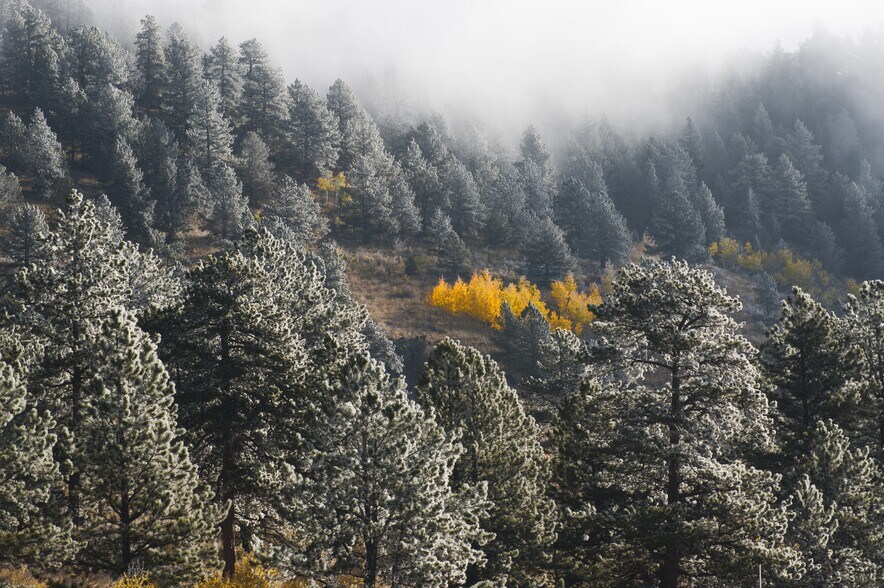 More Photos Of County Road 59, Hartsel Land For Sale