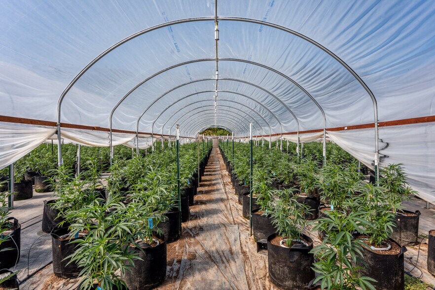 More Photos Of 2000 Clover Valley Rd, Upper Lake Land For Sale