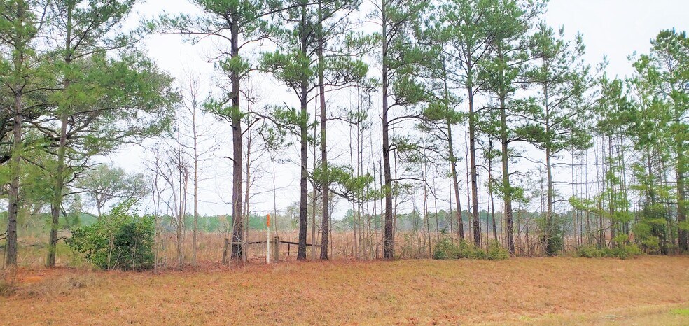 More Photos Of Highway 3226 @ Cypress Church Road, Deridder Land For Sale