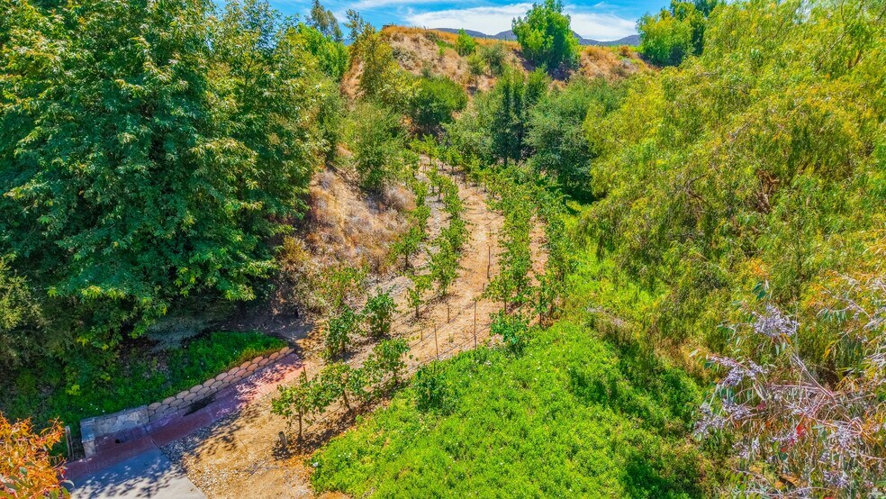 More Photos Of 38831 Pauba Rd, Temecula Land For Sale