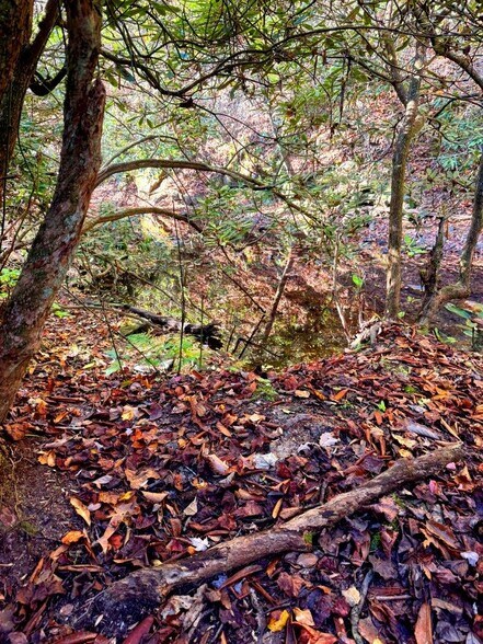 More Photos Of 0 Old Pluto Rd, Shady Spring Land For Sale