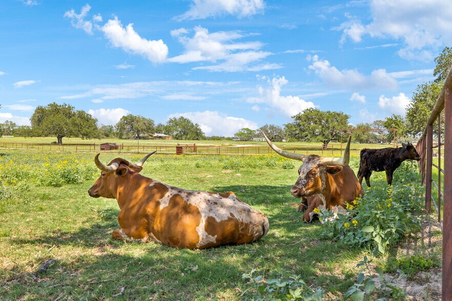 More Photos Of 995 W Gates Valley Rd, Poteet Land For Sale