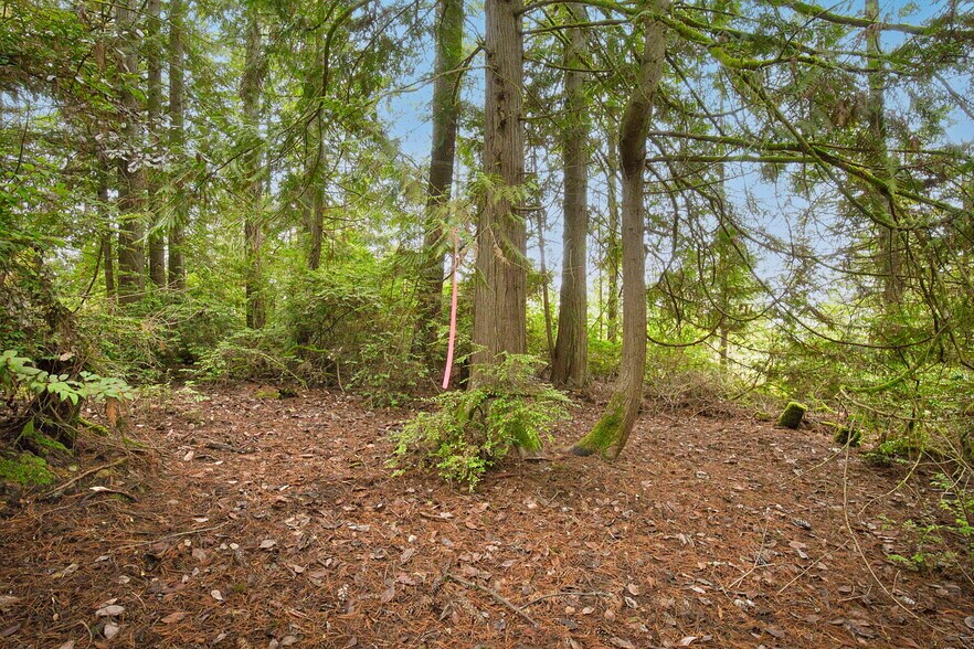 More Photos Of 00 Dickey Rd, Silverdale Land For Sale