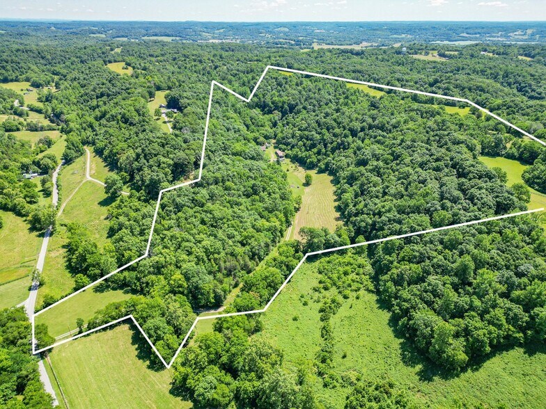 More Photos Of 804 Ball Hollow Branch Rd, Lynnville Land For Sale