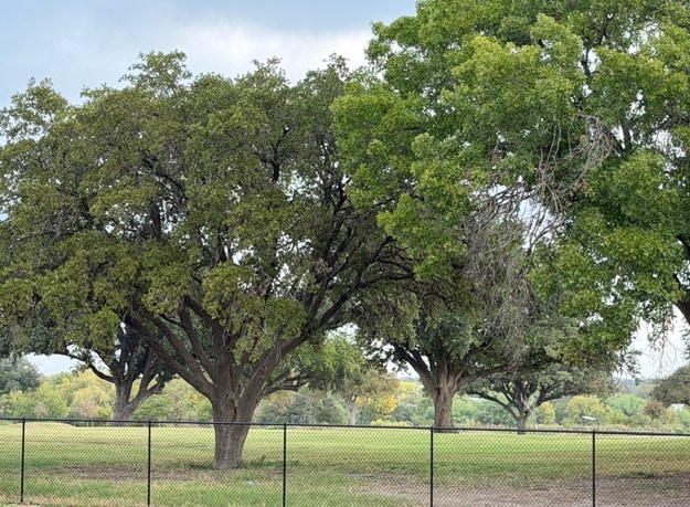 More Photos Of 2011 Mission Rd, San Antonio Restaurant For Lease