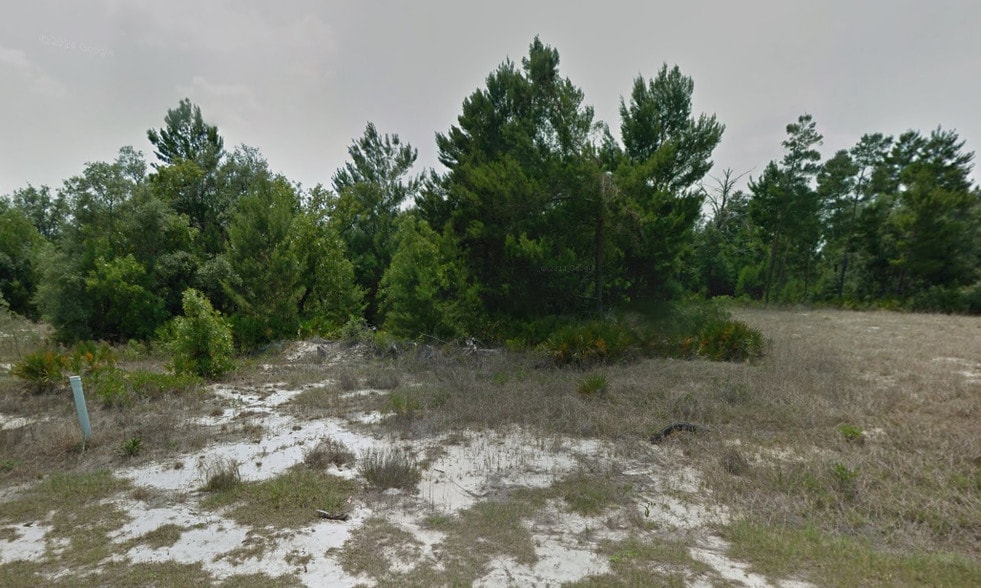 Primary Photo Of Marigold Ave, Poinciana Land For Sale
