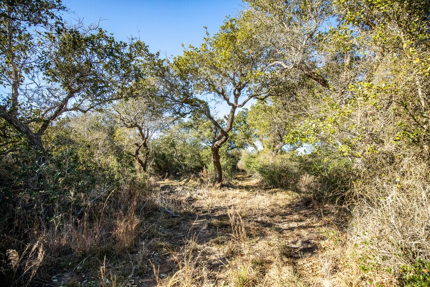 More Photos Of 6498 Highway 35 North, Rockport Land For Sale