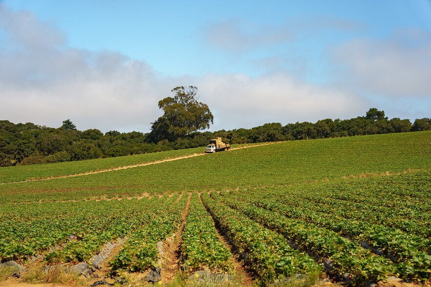 More Photos Of Blackie Rd, Prunedale Land For Sale