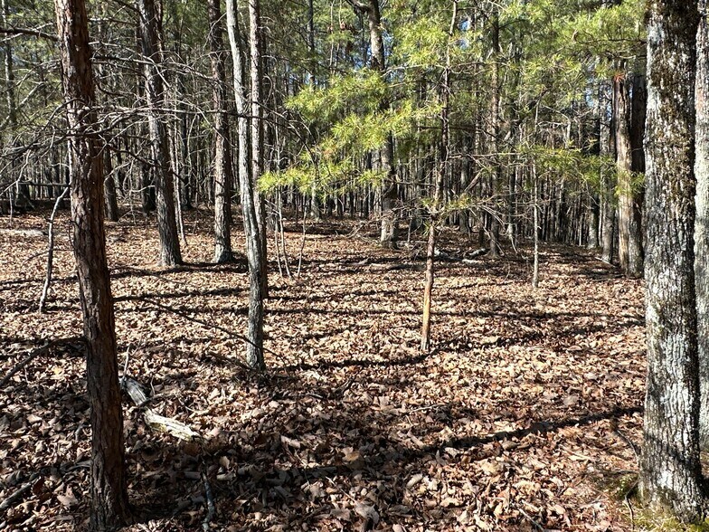 More Photos Of 3472 Prior Station Rd, Cedartown Land For Sale